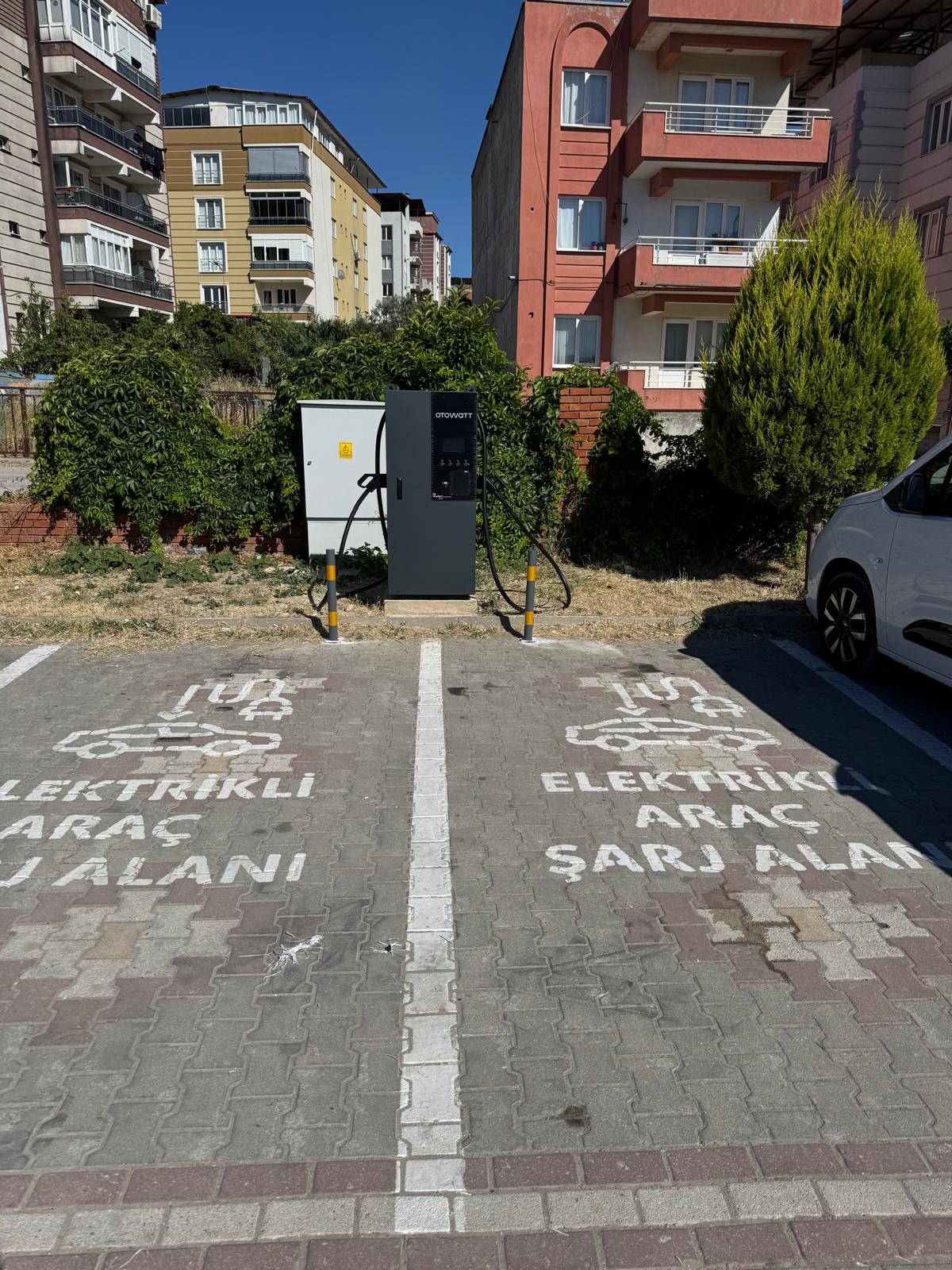 Soma Bel.-image