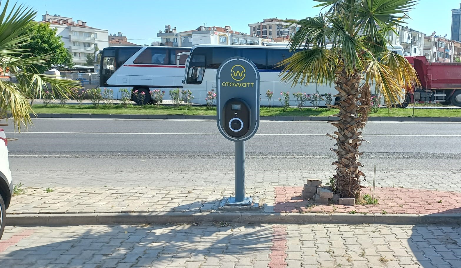 Can Kuruyemiş Nuts Cafe-image